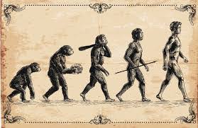 Evolusi